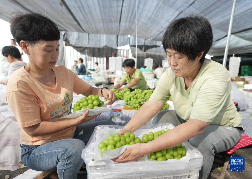 试玩app平台
